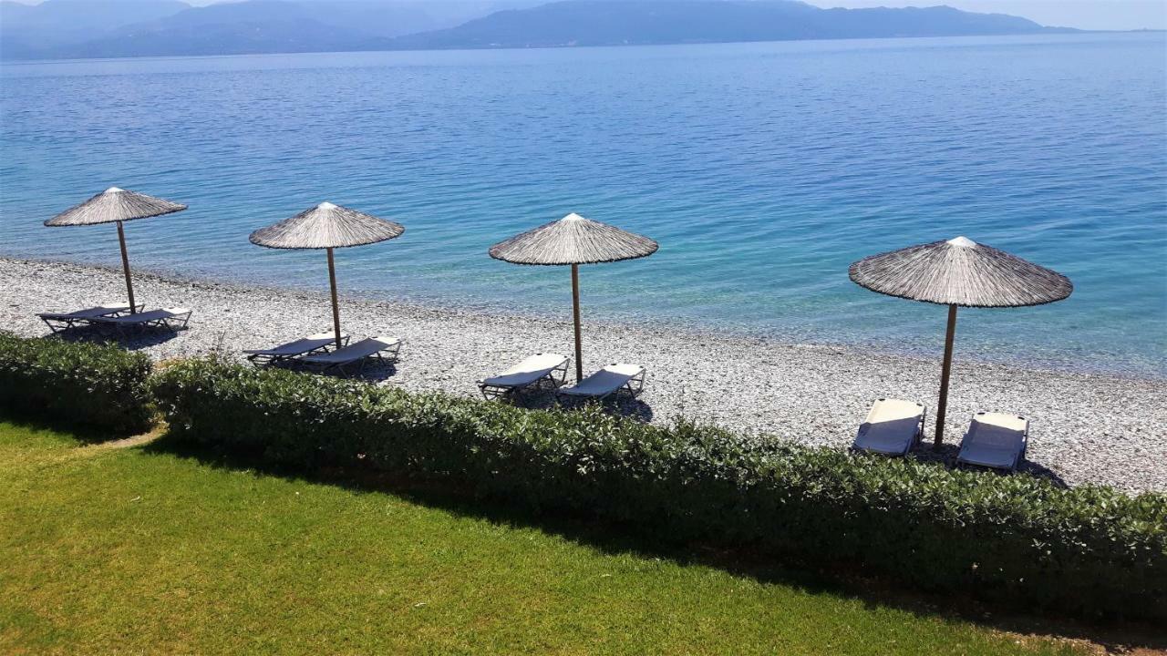 Villa Thalassa Paralia Sergoulas Dış mekan fotoğraf