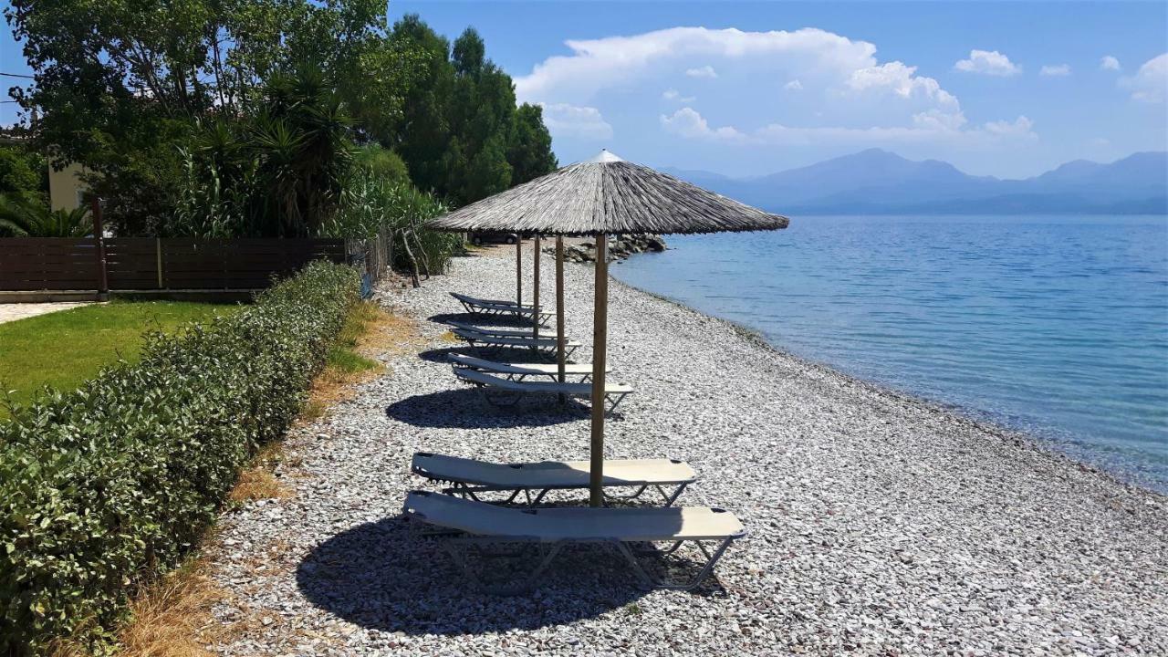 Villa Thalassa Paralia Sergoulas Dış mekan fotoğraf